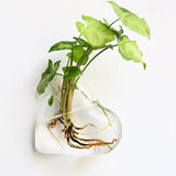 Roomtery Glass Wall Hanging Flower Vase, view 6