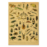 Roomtery Insects Vintage Kraft Paper Poster, view 2