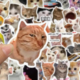 Roomtery Kitty Meme Sticker Pack, view 3