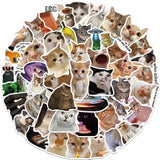 Roomtery Kitty Meme Sticker Pack, view 4
