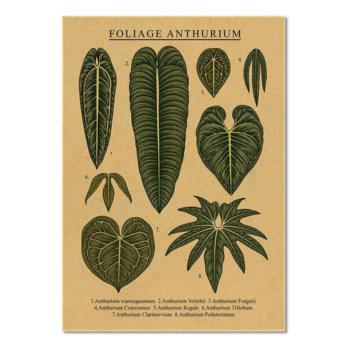 Roomtery Laceleaf Leaves Kraft Paper Poster