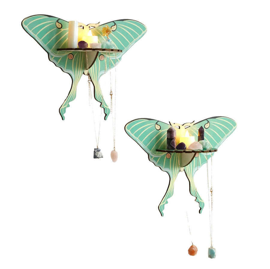 Roomtery Luna Moth Wall Display Shelf