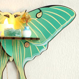 Roomtery Luna Moth Wall Display Shelf, view 3