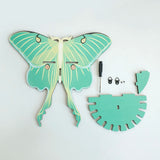 Roomtery Luna Moth Wall Display Shelf, view 5