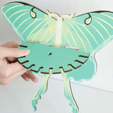 Roomtery Luna Moth Wall Display Shelf, view 6