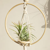Roomtery Macrame Wooden Circle Plant Hanger, view 2