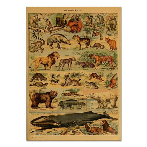 Roomtery Mammals Vintage Kraft Paper Poster