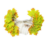 Roomtery Maple Leaves Fall String Lights, view 6