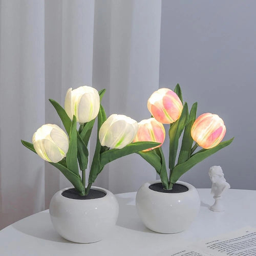 Roomtery Mini Potted Tulip LED Night Light