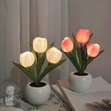 Roomtery Mini Potted Tulip LED Night Light, view 5