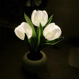 Roomtery Mini Potted Tulip LED Night Light, view 6
