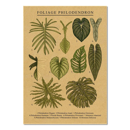 Roomtery Monstera Leaves Kraft Paper Poster