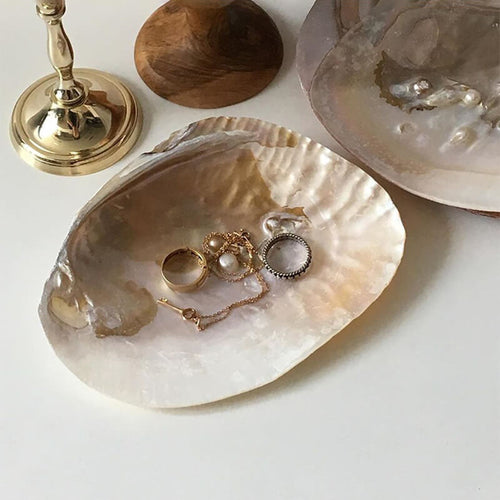 Roomtery Natural Seashell Jewelry Tray