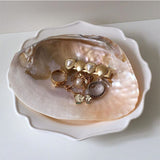 Roomtery Natural Seashell Jewelry Tray, view 2