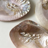 Roomtery Natural Seashell Jewelry Tray, view 5