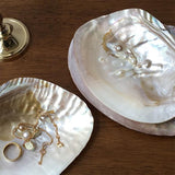 Roomtery Natural Seashell Jewelry Tray, view 6