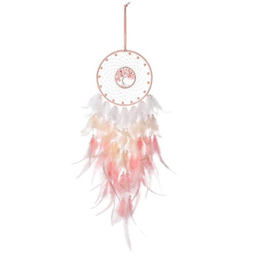 Roomtery Pink Feather Dream Catcher