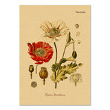 Roomtery Poppy Flower Kraft Paper Poster, view 2