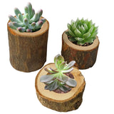 Roomtery Rustic Tree Trunk Candlestick, view 2