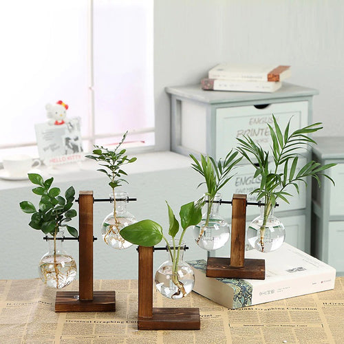 Roomtery Terrarium Flask Planter Vase