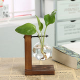 Roomtery Terrarium Flask Planter Vase, view 2