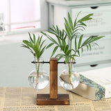 Roomtery Terrarium Flask Planter Vase, view 3