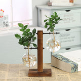 Roomtery Terrarium Flask Planter Vase, view 4