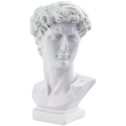 Roomtery The David Vase
