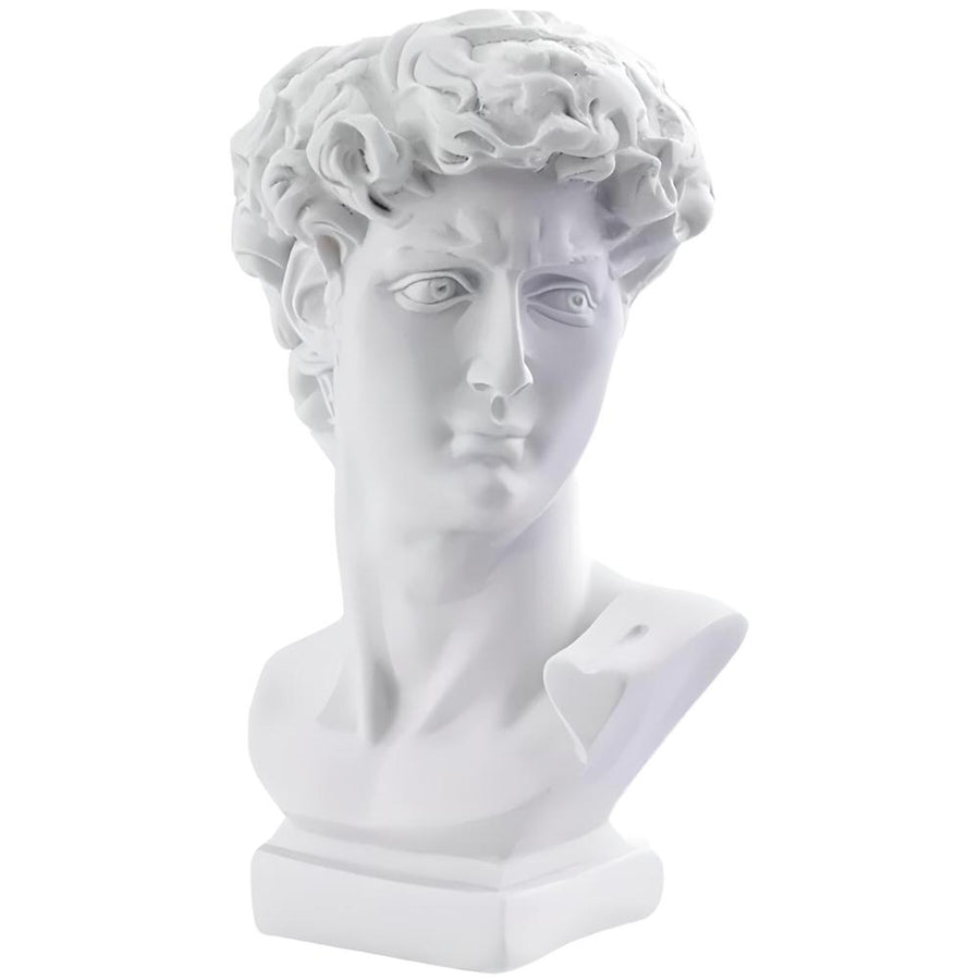 Roomtery The David Vase