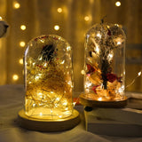 Roomtery Thin Wire Fairy Lights, view 5