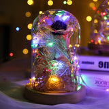 Roomtery Thin Wire Fairy Lights, view 6
