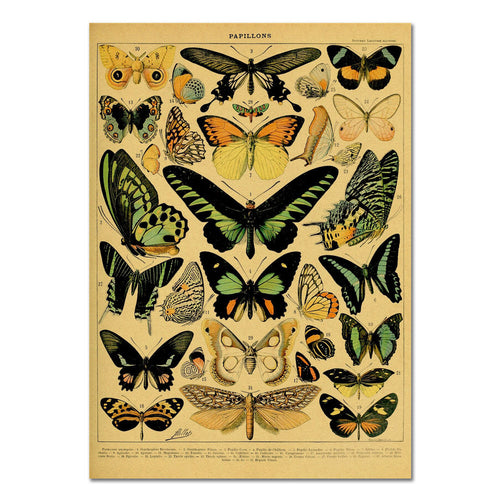 Roomtery Papillons Kraft Paper Poster