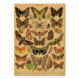 Roomtery Papillons Kraft Paper Poster, view 2