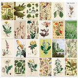 Roomtery Vintage Herbal Wall Collage Cards Kit, view 4