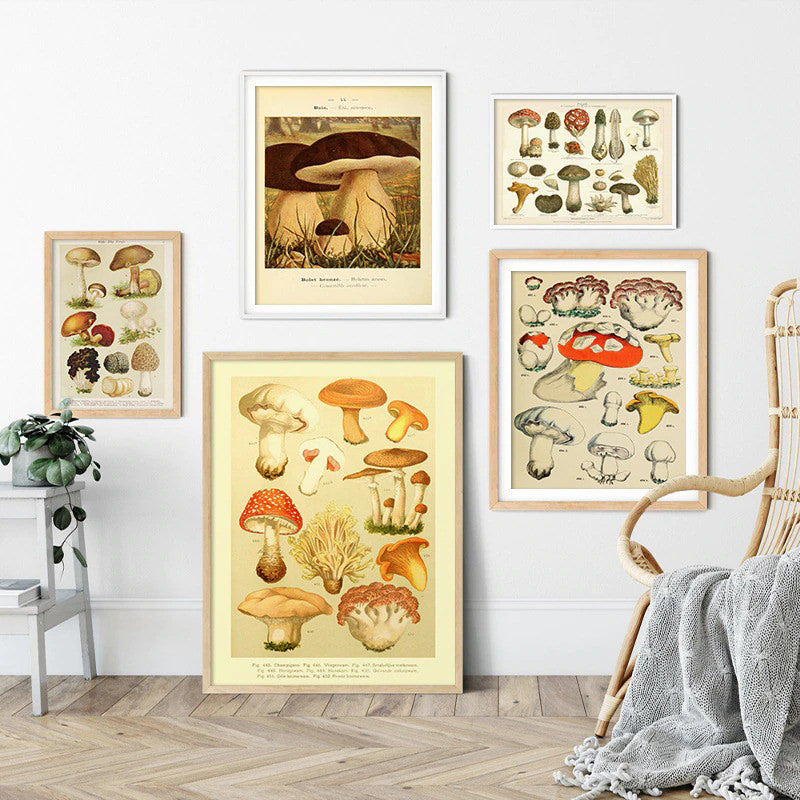 Roomtery Vintage Mushrooms Canvas Posters