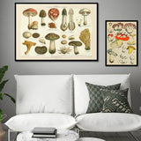 Roomtery Vintage Mushrooms Canvas Posters, view 2