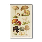 Roomtery Vintage Mushrooms Canvas Posters, view 3