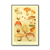 Roomtery Vintage Mushrooms Canvas Posters, view 4