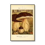 Roomtery Vintage Mushrooms Canvas Posters, view 5