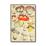 Roomtery Vintage Mushrooms Canvas Posters, view 6
