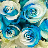 Rosaholics AZURE, view 2