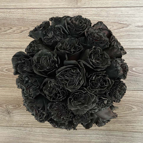 Rosaholics BLACK DRAGON