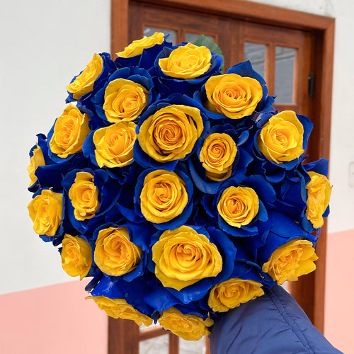 Rosaholics BLUE N' YELLOW