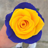Rosaholics BLUE N' YELLOW, view 3