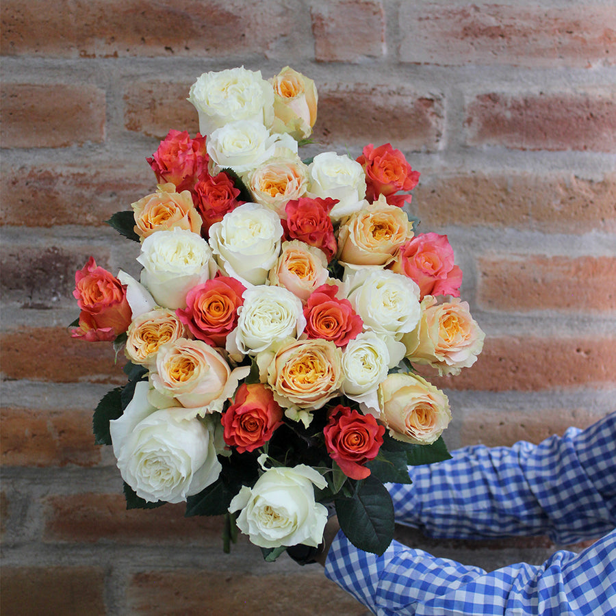 Rosaholics BLUSH OF LOVE