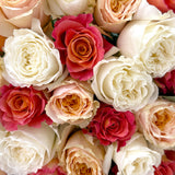 Rosaholics BLUSH OF LOVE, view 2