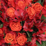 Rosaholics BOOST OF PASSION, view 2