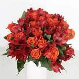 Rosaholics BOOST OF PASSION, view 4