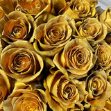 Rosaholics MIDAS TOUCH, view 2