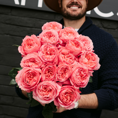 Rosaholics PEONY BEAUTY